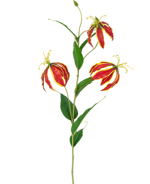 Die künstliche Blume Gloriosa Real Touch Red 75 cm hat einen einzelnen Stiel mit drei leuchtend roten und gelben Lilienblüten und langen grünen Blättern vor einem weißen Hintergrund.