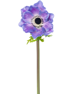 Die künstliche Blumenanemone Deluxe 43 cm lila besteht aus einer einzelnen violetten Anemone mit dunklem Herzen und zarten Blütenblättern an einem langen grünen Stiel, die isoliert vor einem weißen Hintergrund dargestellt ist.
