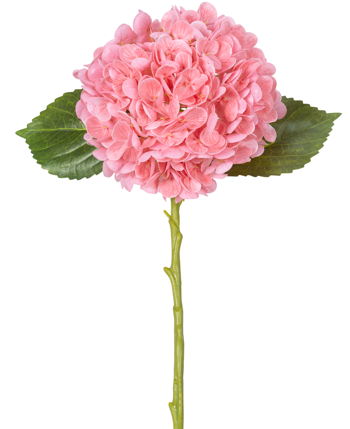 Die Kunstblume Charlotte Hydrangea Real Touch Pink 49 cm besteht aus einer einzelnen rosafarbenen Hortensie mit dichten, runden Blütenblättern, zwei grünen Blättern und einem langen grünen Stiel auf weißem Hintergrund.