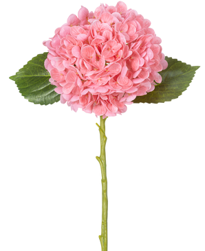 Die Kunstblume Charlotte Hydrangea Real Touch Pink 49 cm besteht aus einer einzelnen rosafarbenen Hortensie mit dichten, runden Blütenblättern, zwei grünen Blättern und einem langen grünen Stiel auf weißem Hintergrund.