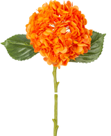 Die Kunstblume Charlotte Hortensie Real Touch Orange 49 cm hat eine orangefarbene Hortensienblüte mit realistischen Blütenblättern, grünen Blättern und einem langen Stiel, isoliert auf einem weißen Hintergrund.