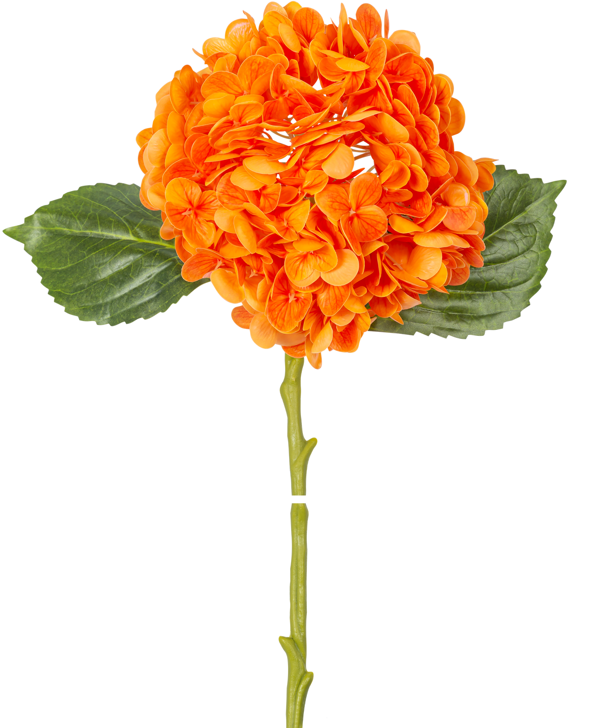 Die Kunstblume Charlotte Hortensie Real Touch Orange 49 cm hat eine orangefarbene Hortensienblüte mit realistischen Blütenblättern, grünen Blättern und einem langen Stiel, isoliert auf einem weißen Hintergrund.
