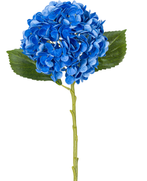 Die Kunstblume Charlotte Hydrangea Real Touch Blue 49 cm ist eine einzelne blaue Hortensie mit grünen Blättern und einem langen Stiel, dargestellt vor einem weißen Hintergrund.