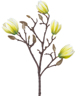 Eine künstliche Blumenmagnolie, 50 cm, weiß/grün, mit vier gelb-weißen Blüten und einer Reihe flauschiger brauner Knospen vor einem weißen Hintergrund.