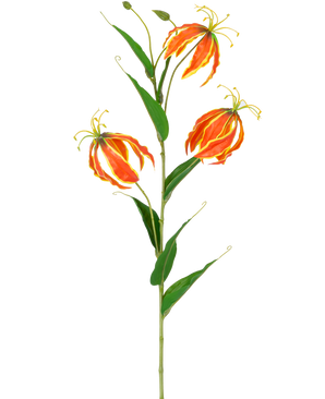 Die Kunstblume Gloriosa Real Touch Orange 75 cm hat einen hohen grünen Stiel mit drei großen orangefarbenen und gelben Lilien und langen, schlanken grünen Blättern, die wunderschön auf einem weißen Hintergrund zur Geltung kommen.