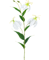 Die künstliche Blume Gloriosa Real Touch White 75 cm hat einen einzelnen grünen Stiel mit drei offenen weißen Gloriosa-Blüten, zwei Knospen, langen gelben Staubgefäßen und länglichen grünen Blättern vor einem schlichten weißen Hintergrund.