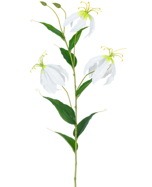Die künstliche Blume Gloriosa Real Touch White 75 cm hat einen einzelnen grünen Stiel mit drei offenen weißen Gloriosa-Blüten, zwei Knospen, langen gelben Staubgefäßen und länglichen grünen Blättern vor einem schlichten weißen Hintergrund.