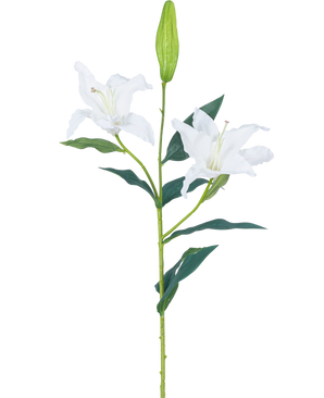 Die künstliche Blumenlilie Real Touch weiß 95 cm hat einen einzelnen grünen Stiel mit zwei offenen weißen Lilienblüten, dunkelgrünen Blättern und einer geschlossenen Knospe vor einem schlichten weißen Hintergrund.