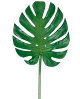 Das künstliche Blatt Monstera 88 cm ist ein großes künstliches grünes Monstera-Blatt mit tiefen Schlitzen und Perforationen vor einem schlichten weißen Hintergrund.