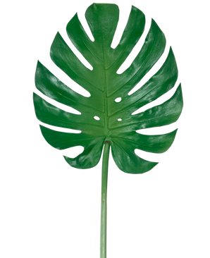 Das künstliche Blatt Monstera 88 cm ist ein großes künstliches grünes Monstera-Blatt mit tiefen Schlitzen und Perforationen vor einem schlichten weißen Hintergrund.