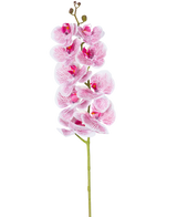 Die künstliche Orchidee Real Touch Deluxe 105 cm in Fuchsia/Weiß hat einen einzelnen Stiel mit mehreren Blüten und lebensechten rosa geäderten Blütenblättern, die einen auffälligen dekorativen Akzent auf einem schlichten weißen Hintergrund bilden.
