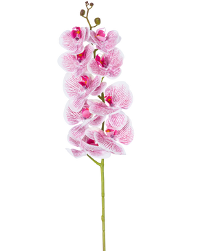 Die künstliche Orchidee Real Touch Deluxe 105 cm in Fuchsia/Weiß hat einen einzelnen Stiel mit mehreren Blüten und lebensechten rosa geäderten Blütenblättern, die einen auffälligen dekorativen Akzent auf einem schlichten weißen Hintergrund bilden.