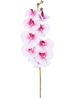 Die künstliche Orchidee Real Touch Deluxe 105 cm rosa/weiß hat einen einzelnen rosafarbenen künstlichen Phalaenopsis-Stiel mit weißen Akzenten, realistischen Seidenblumen und Knospen, die alle elegant auf einem weißen Hintergrund präsentiert werden.
