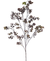 Der künstliche Zweig Eukalyptusbeere 110 cm braun hat einen hohen Zweig mit mehreren dünnen Stielen, kleinen runden Blättern und Büscheln grünbrauner Beeren vor einem schlichten weißen Hintergrund.