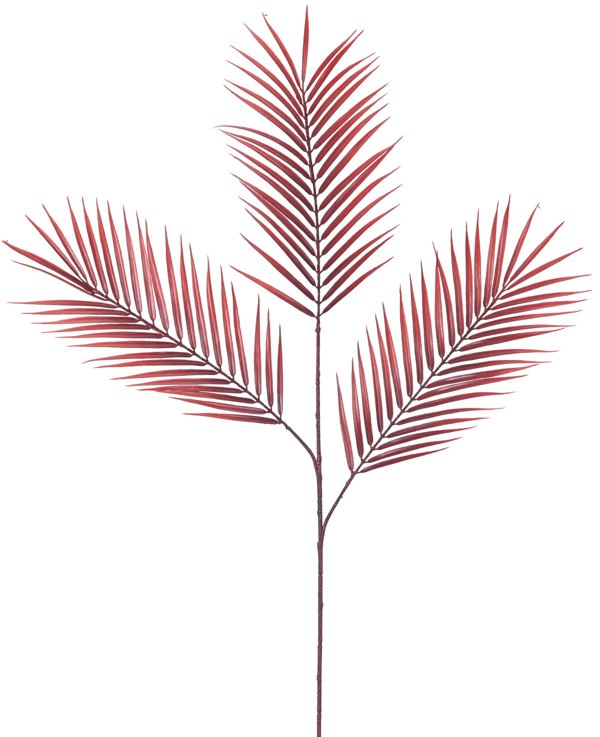 Der künstliche Astfarn 100 cm rot hat fünf lange, schmale rote Palmblätter, die sich von einem einzigen Stiel ausbreiten, vor einem schlichten weißen Hintergrund.