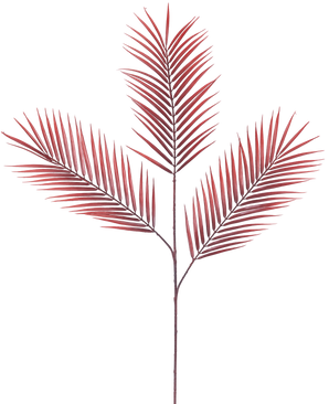 Der künstliche Astfarn 100 cm rot hat fünf lange, schmale rote Palmblätter, die sich von einem einzigen Stiel ausbreiten, vor einem schlichten weißen Hintergrund.