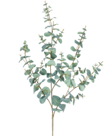 Der künstliche Eukalyptus 120 cm hat mehrere dünne Stiele und runde, blaugrüne Blätter auf einem schlichten weißen Hintergrund.