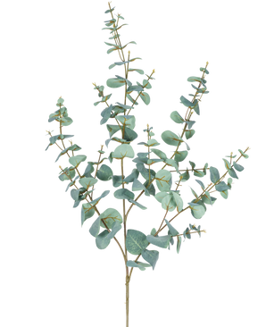Der künstliche Eukalyptus 120 cm hat mehrere dünne Stiele und runde, blaugrüne Blätter auf einem schlichten weißen Hintergrund.