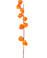 Ein einzelner Stiel der künstlichen Blume Physalis Lampion 90 cm orange mit mehreren leuchtend orangefarbenen, laternenförmigen Schoten ist vor einem schlichten weißen Hintergrund abgebildet.