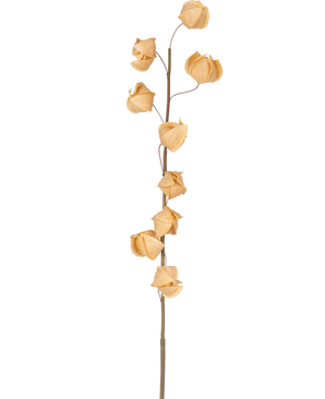 Eine künstliche Physalis-Lampion-Blume, 90 cm lang, braun, mit einem einzelnen hohen Stiel und mehreren getrockneten, braunen, papierartigen Hülsen, die über die gesamte Länge verteilt sind, vor einem schlichten weißen Hintergrund.