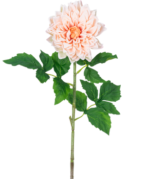 Ein einzelner Kunst Georgine Real Touch Light Pink 70 cm langer Stiel mit geschichteten hellrosa Blütenblättern und grünen Blättern vor einem weißen Hintergrund.