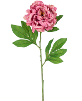 Die künstliche Pfingstrose 77 cm rosa besteht aus einer einzelnen rosa Pfingstrose mit geschichteten Blütenblättern und grünen Blättern auf einem langen, schlanken Stiel vor einem weißen Hintergrund.