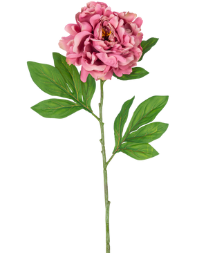 Die künstliche Pfingstrose 77 cm rosa besteht aus einer einzelnen rosa Pfingstrose mit geschichteten Blütenblättern und grünen Blättern auf einem langen, schlanken Stiel vor einem weißen Hintergrund.