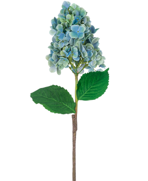 Ein einzelner Stiel einer künstlichen Hortensie 93 cm blau mit blauen und grünen Hortensienblüten mit üppig grünen Blättern, isoliert auf weißem Hintergrund.
