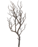 Der Art-Dekorationszweig 89 cm zeigt einen Baum ohne Blätter mit vielen dünnen, gewundenen Ästen vor einem schlichten weißen Hintergrund.