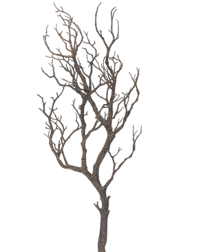 Der Art-Dekorationszweig 89 cm zeigt einen Baum ohne Blätter mit vielen dünnen, gewundenen Ästen vor einem schlichten weißen Hintergrund.