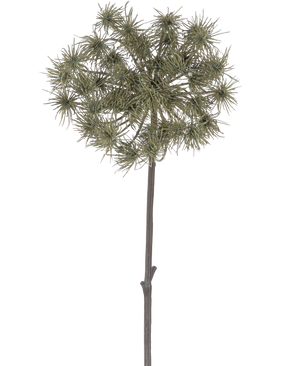 Die künstliche Blume Bärenklau 100 cm ist ein einzelner künstlicher Stiel mit Büscheln dünner, grüngrauer Blütenköpfe, die aufrecht vor einem schlichten weißen Hintergrund stehen.
