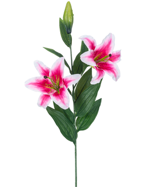Die künstliche Blumenlilie 85 cm rosa hat zwei blühende rosa und weiße Lilien, eine geschlossene Knospe und eine Reihe langer grüner Blätter, wunderschön vor einem weißen Hintergrund.
