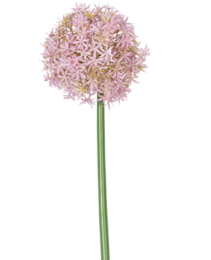 Ein einzelner hoher violetter Stiel der künstlichen Blume Allium Large 80 cm, der eine große, runde Gruppe kleiner sternförmiger Blüten trägt, abgebildet auf einem weißen Hintergrund.