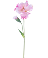 Die künstliche Blumeniris 80 cm rosa hat einen einzelnen rosa Irisstiel mit Rüschen in den Blütenblättern und einer geschlossenen Knospe vor einem schlichten weißen Hintergrund.