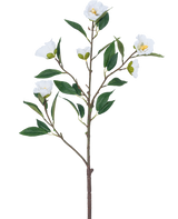 Die künstliche Blumenkamelie 80 cm weiß hat einen einzelnen Zweig mit mehreren grünen Blättern und mehreren blühenden weißen Blüten vor einem schlichten weißen Hintergrund.