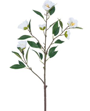 Die künstliche Blumenkamelie 80 cm weiß hat einen einzelnen Zweig mit mehreren grünen Blättern und mehreren blühenden weißen Blüten vor einem schlichten weißen Hintergrund.