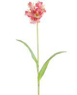 Eine künstliche französische Sittich-Tulpe, 76 cm, in Rot/Gelb mit Rüschen auf den Blütenblättern, einem langen grünen Stiel und zwei länglichen grünen Blättern, vor einem weißen Hintergrund.