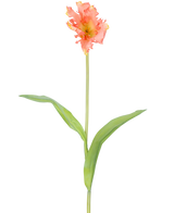 Eine einzelne künstliche Blume, französische Sittich-Tulpe, 76 cm, Koralle mit Rüschen aus rosa und gelben Blütenblättern und zwei langen grünen Blättern auf einem langen Stiel, vor einem schlichten weißen Hintergrund.