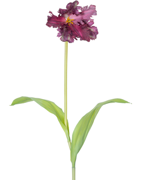 Die künstliche französische Sittich-Tulpe 76 cm lila ist eine einzelne künstliche lila Tulpe mit Rüschen in den Blütenblättern und zwei länglichen grünen Blättern an einem langen Stiel vor einem schlichten weißen Hintergrund.