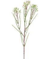 Der künstliche Zweig Wachsblume 78 cm cremefarben hat einen einzelnen hohen Stiel mit dünnen grünen Blättern und Büscheln kleiner, cremeweißer Blüten an der Spitze vor einem schlichten, hellen Hintergrund.