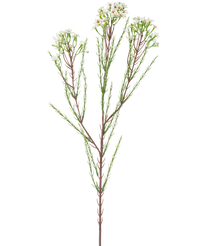 Künstlicher Zweig Waxflower 78 cm creme