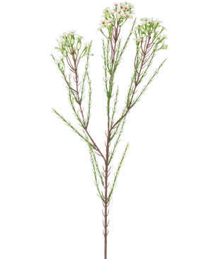 Der künstliche Zweig Wachsblume 78 cm cremefarben hat einen einzelnen hohen Stiel mit dünnen grünen Blättern und Büscheln kleiner, cremeweißer Blüten an der Spitze vor einem schlichten, hellen Hintergrund.