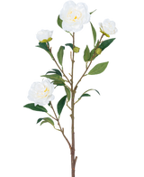 Die künstliche Blumenkamelie 80 cm weiß hat einen einzelnen braunen Stiel mit mehreren grünen Blättern und mehreren weißen Kamelienblüten, einige blühen und andere in Knospenform, alle vor einem schlichten weißen Hintergrund.