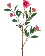 Die künstliche Blumenkamelie 80 cm rosa ist ein einzelner Stiel mit mehreren Zweigen, grünen Blättern und mehreren leuchtend rosa Blüten und Knospen, isoliert auf einem weißen Hintergrund.