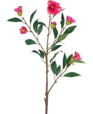 Die künstliche Blumenkamelie 80 cm rosa ist ein einzelner Stiel mit mehreren Zweigen, grünen Blättern und mehreren leuchtend rosa Blüten und Knospen, isoliert auf einem weißen Hintergrund.