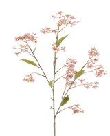 Ein einzelner Stiel der künstlichen Blume Daphne von 108 cm in Altrosa, mit kleinen Büscheln zartrosa Blüten und einigen grünen Blättern vor einem weißen Hintergrund.
