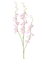 Zwei grüne Stängel mit verzweigten Büscheln aus zarten, hellvioletten Cymbidium-Orchideenblüten und kleinen Knospen auf dünnen, gebogenen Zweigen, abgebildet vor einem schlichten weißen Hintergrund. Bei dem abgebildeten Produkt handelt es sich um die Kunstblume Cymbidium 95 cm lila.