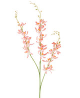 Drei lange grüne Stiele der künstlichen Blume Cymbidium 95 cm, Pfirsich, mit Büscheln zarter pfirsichfarbener Orchideenblüten und kleinen gelben Knospen, vor einem schlichten weißen Hintergrund.