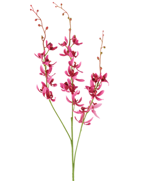 Drei Stängel der künstlichen Cymbidium-Blume von 95 cm in Burgunderrot, mit leuchtenden Blüten und kleinen Knospen, dargestellt vor einem weißen Hintergrund.