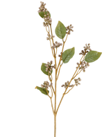 Ein einzelner Stiel der künstlichen Kratzbaumblume, 78 cm hoch, mit mehreren grünen Blättern und Büscheln kleiner, runder beiger Beeren auf dünnen braunen Stielen in Grau- und Lilatönen, vor einem weißen Hintergrund.